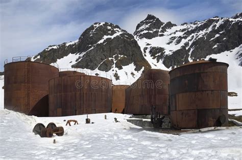 Former Grytviken Whaling Station King Edward Cove South Georgia