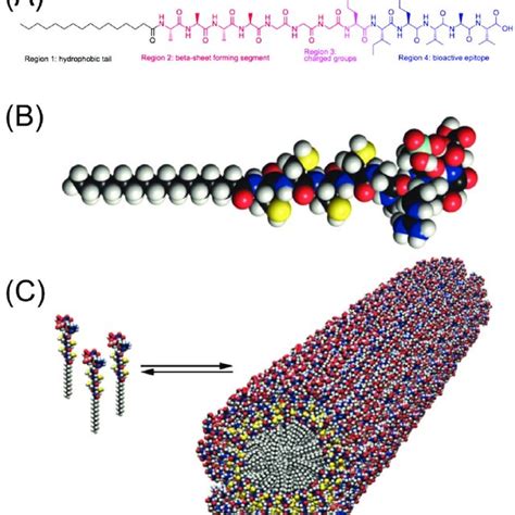 Strength Of Common Non Covalent Interactions Present In Peptide Download Scientific Diagram