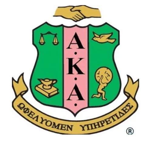 Omicron Omega Omega Alpha Kappa Alpha Sorority Community Service