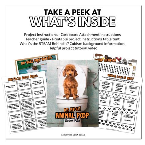 Learn All About Animal Poop with this fun Lesson Plan - Left Brain ...