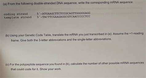 Solved (a) From the following double-stranded DNA sequence, | Chegg.com 