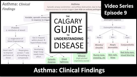 Asthma Clinical Findings Youtube