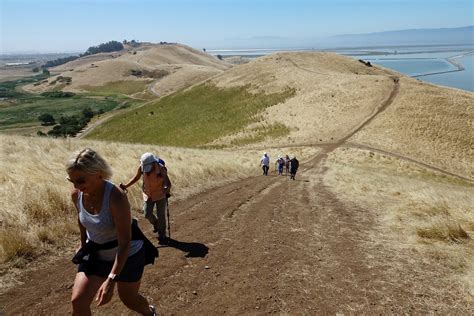 The Villages Hiking Club: Coyote Hills Regional Park Hike