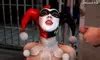Facial Compilation 2020 Sfmeditor Archive American Blowjob Porn XHamster