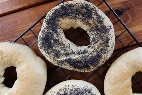 New York Style Bagels || An Easy At Home Recipe - Sustainable Slow Living