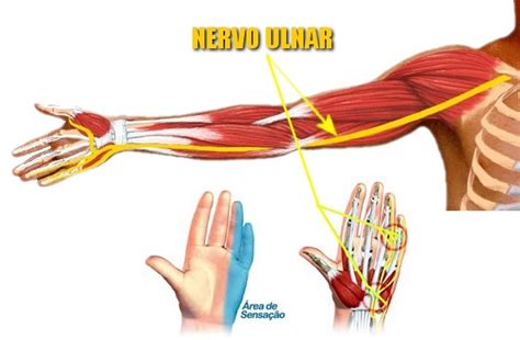 Les O Do Nervo Ulnar