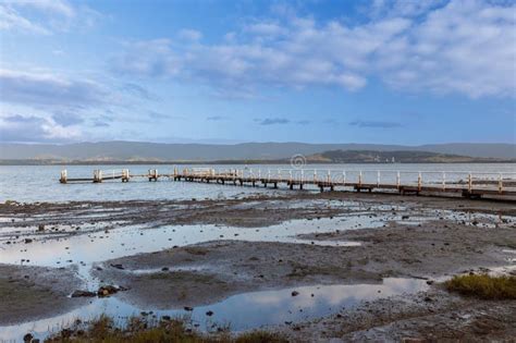wooden jetty  lake illawarra  warrigal stock image image