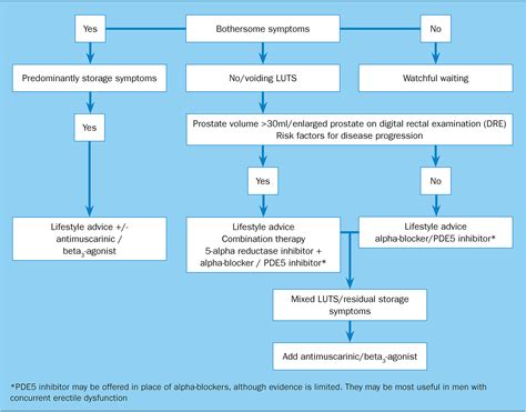 Lower Urinary Tract Symptoms Initial Management In Men Brown