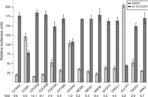 Luciferase reporter assays. The promoter regions of 15 target genes ... 