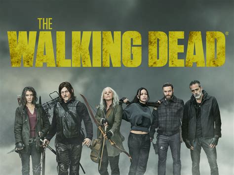 The Walking Dead Staffel 11 6 Dvds Amazonde Reedus Norman