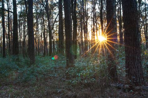 About Us — Friends of Dorchester County Parks