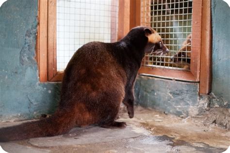 Jogja Exotarium