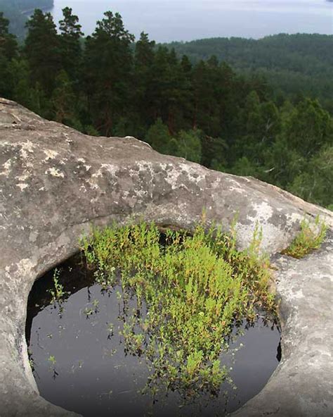 АЛМИР Аракульский Шихан
