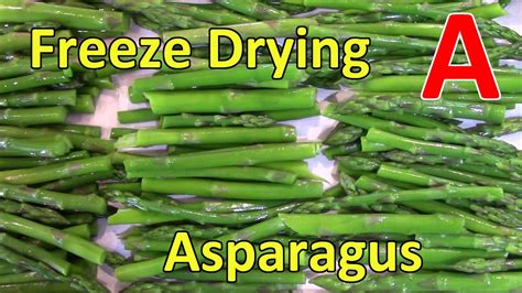 Freeze Drying Asparagus Youtube