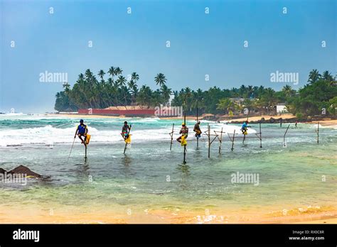 Unawatuna Sri Lanka December Traditional Sri Lankan Stilt