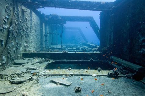 Underwater Wreckage Images - Free Download on Freepik