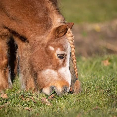 VITALstyle SuikerBalans 1 Liter Voor Een Gezonde Suikerspiegel