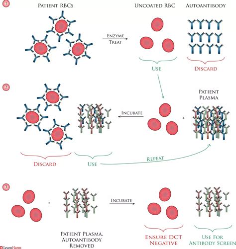 Autoadsorption LearnHaem Haematology Made Simple