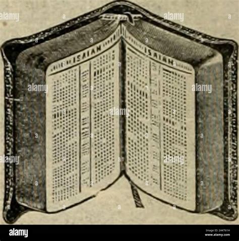 book  bargains   month  february    worth