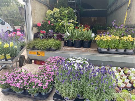 Shopping marks & spencer kew kew reveals a hidden garden section 6