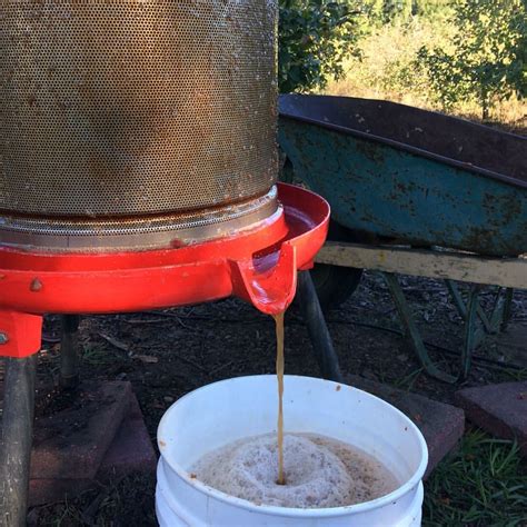 Cider Making Process | Santa Cruz Cider Company