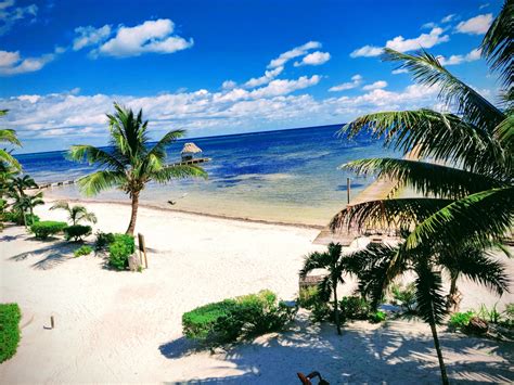 About Indigo Belize | Indigo Belize