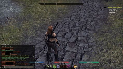 Marre De Ces Fake Heal Et Tank Elder Scrolls Online