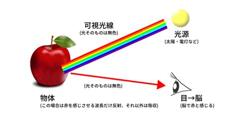 そもそも色って何なの？色の見方がひっくり返る3つの要点 色のことを伝えるサイト｜イロノコト