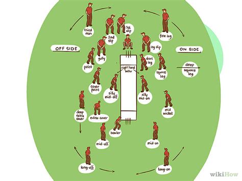 how to cricket play