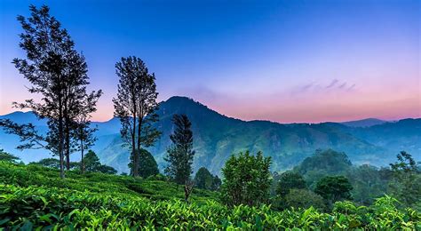 Exotic Sri Lanka HD Wallpaper Pxfuel