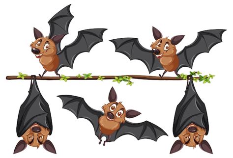 Bat Animation