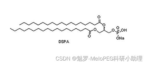 Dspa 180 Pa 二硬脂酰磷脂酸钠盐dspa108321 18 2dspa是什么脂质 Csdn博客