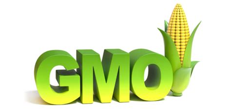 Agricultural Genetically Modified Organisms Gmos Export To China Gmos Bio Safety Certificate