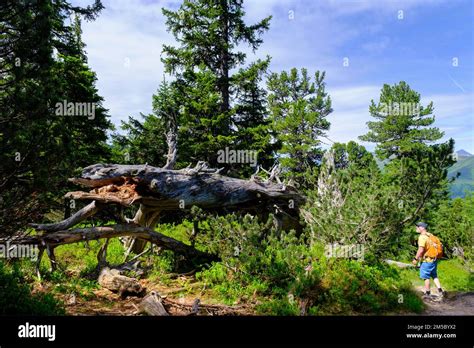 Bad Gastein Graukogel Fotos Und Bildmaterial In Hoher Aufl Sung Alamy