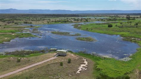 Healing Mixed Water on Koinmerburra Country Project to restore St ...