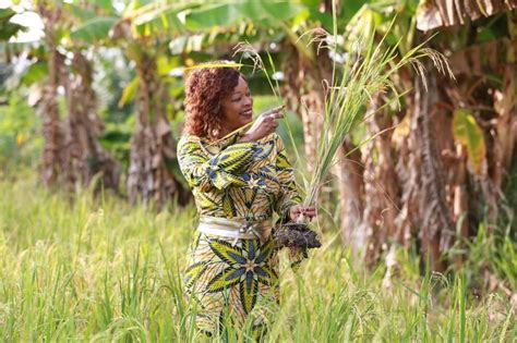 Droits fonciers des femmes en Afrique une priorité pour la