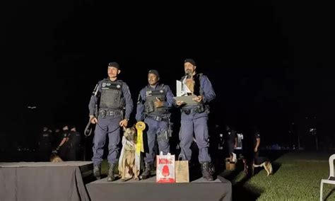 Canil da GM conquista o 2º lugar na colocação geral de campeonato de cães