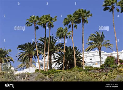 Playa Ingles Hi Res Stock Photography And Images Alamy