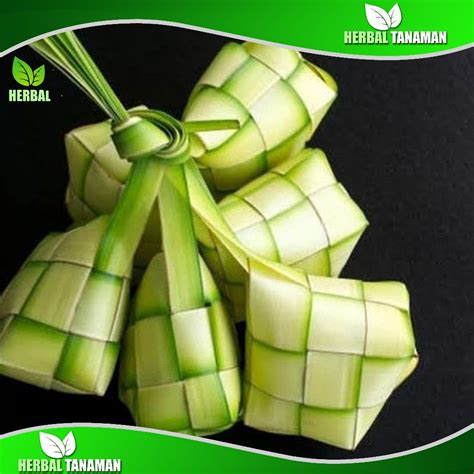 Jual Janur Kuning Cangkang Ketupat Sudah Jadi Janur Kelapa Ketupat