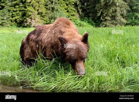 High Protein Content Hi Res Stock Photography And Images Alamy