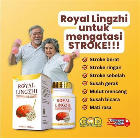 Kapsul Ekstrak Lingzhi Royal Lingzhi Ampuh Untuk Stroke Berat Ringan