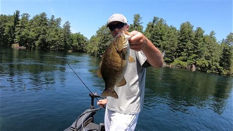 Sight Fishing For Smallmouth Bass On The St Lawrence River Seeking