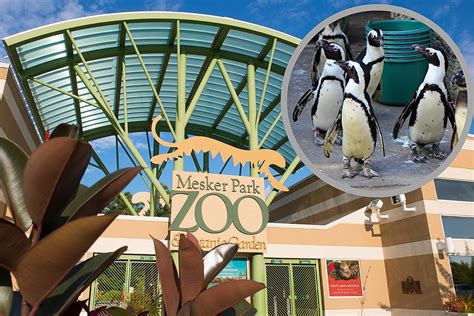 Did You Know You Can Feed Penguins at Evansville Indiana's Zoo?