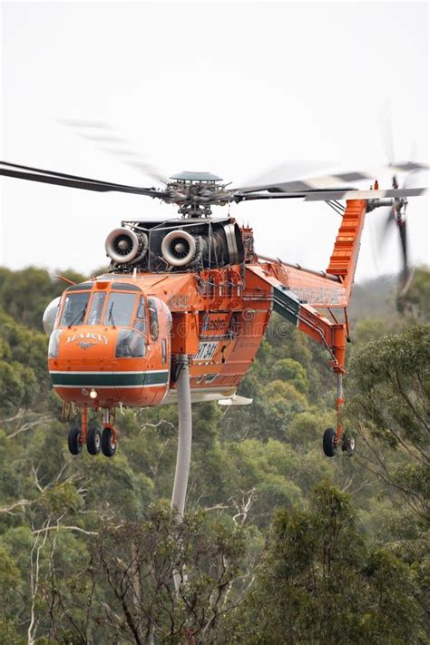 Erickson Air Crane Helicopter Taking Off after Filling with a Load of ...