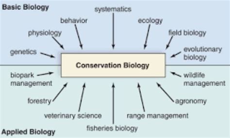 What you need to know about Conservation Biology. | Conservation biology, Biology, Student ...