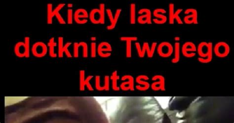 Kiedy Laska Dotknie LOLS PL Humor Demotywatory Memy