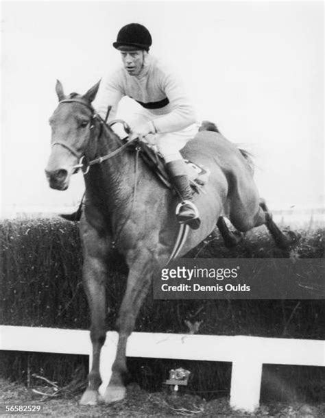 66 Arkle Racehorse Stock Photos, High-Res Pictures, and Images - Getty ...