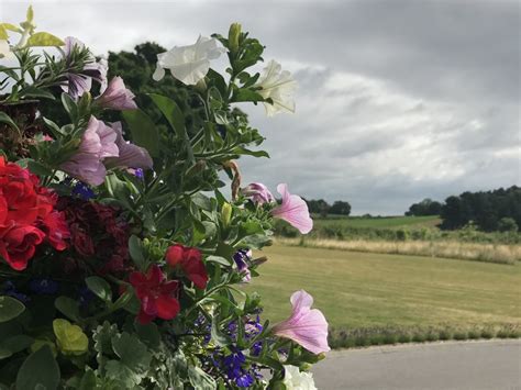 Open Day Barnby Moor Memorial Park And Crematorium