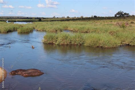 Sabie River / Sabie River / Stock Photo | Adobe Stock