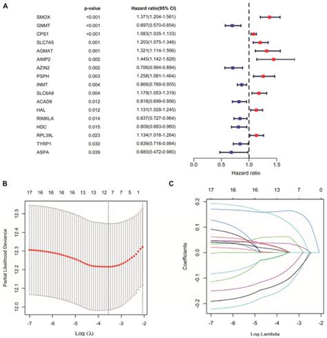 Genes Free Full Text Identification Of An Amino Acid Metabolism Related Gene Signature For